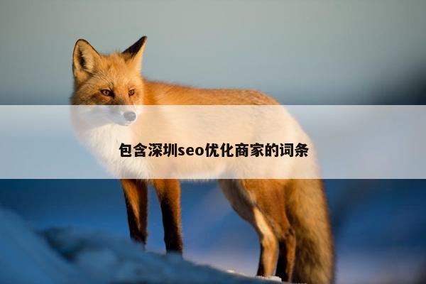 包含深圳seo优化商家的词条
