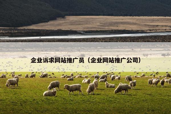 企业诉求网站推广员（企业网站推广公司）