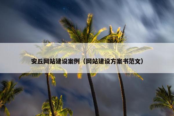安丘网站建设案例（网站建设方案书范文）