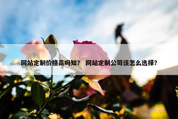 网站定制价格高吗知？ 网站定制公司该怎么选择？