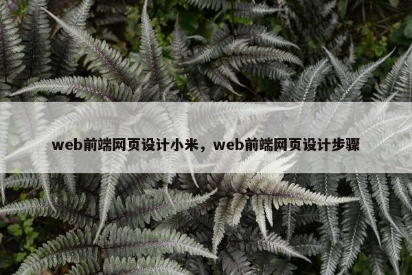 web前端网页设计小米，web前端网页设计步骤
