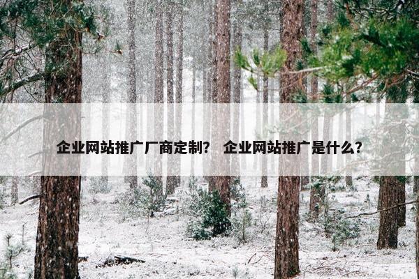 企业网站推广厂商定制？ 企业网站推广是什么？