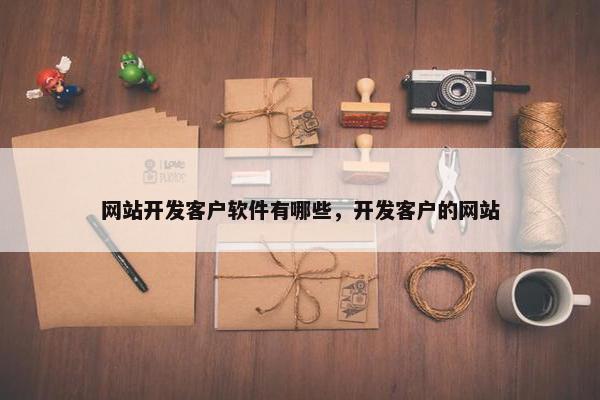 网站开发客户软件有哪些，开发客户的网站