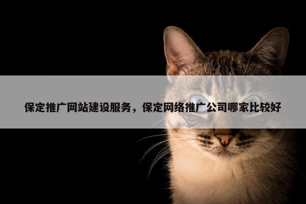 保定推广网站建设服务，保定网络推广公司哪家比较好