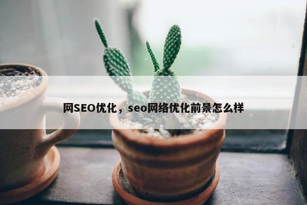 网SEO优化，seo网络优化前景怎么样