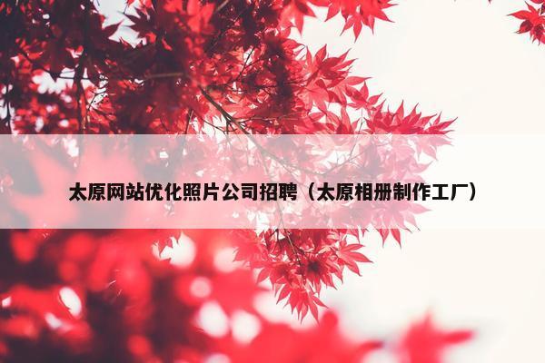 太原网站优化照片公司招聘（太原相册制作工厂）