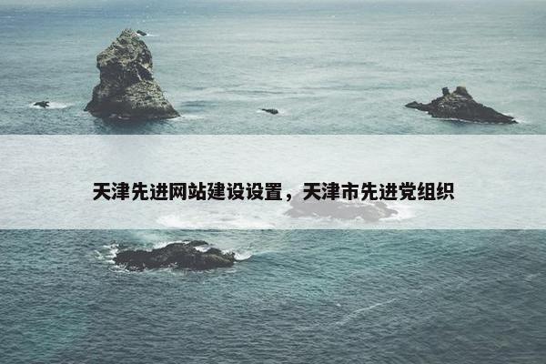 天津先进网站建设设置，天津市先进党组织