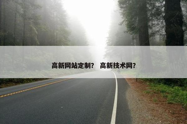 高新网站定制？ 高新技术网？