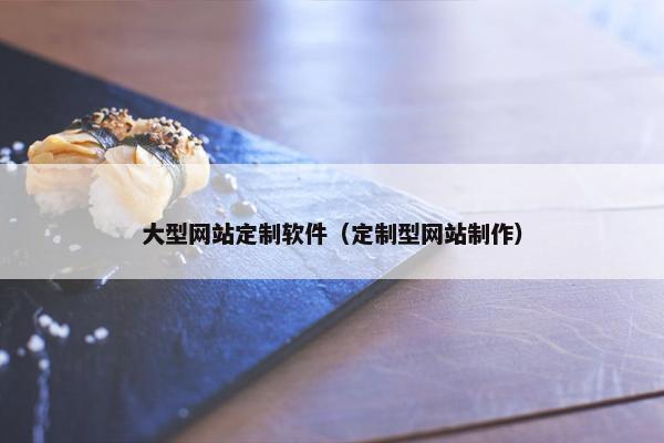 大型网站定制软件（定制型网站制作）