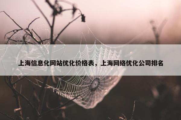 上海信息化网站优化价格表，上海网络优化公司排名