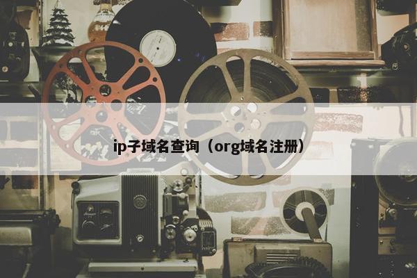 ip子域名查询（org域名注册）
