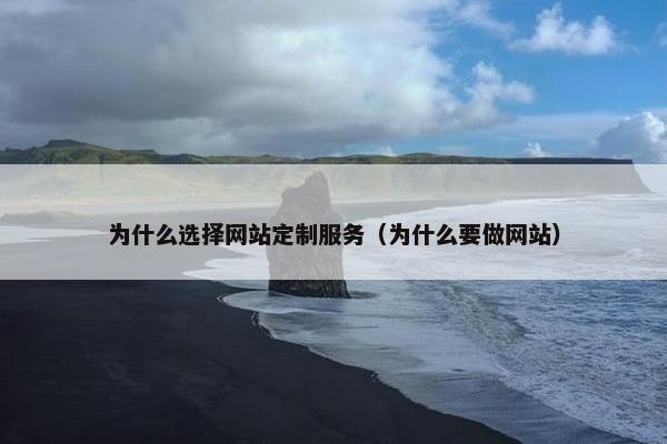 为什么选择网站定制服务（为什么要做网站）