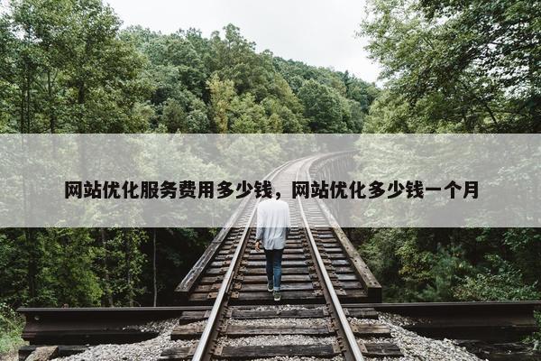 网站优化服务费用多少钱，网站优化多少钱一个月