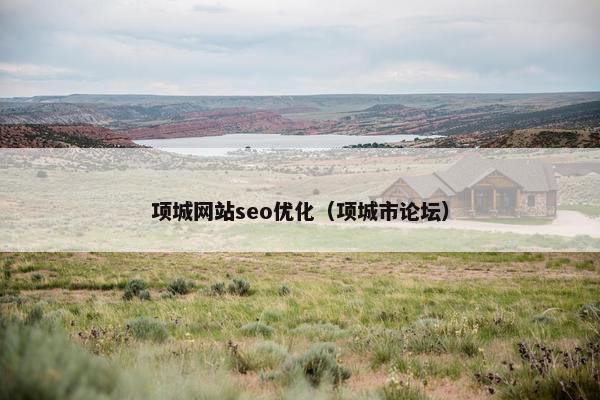 项城网站seo优化（项城市论坛）