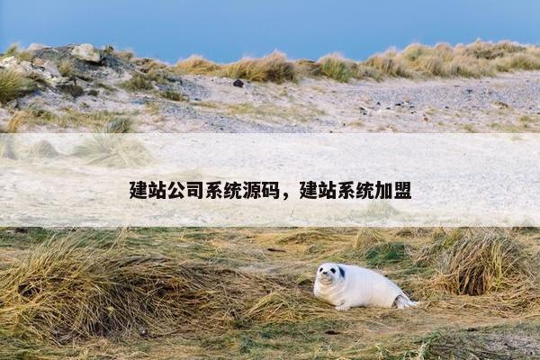 建站公司系统源码，建站系统加盟