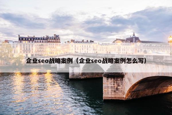 企业seo战略案例（企业seo战略案例怎么写）