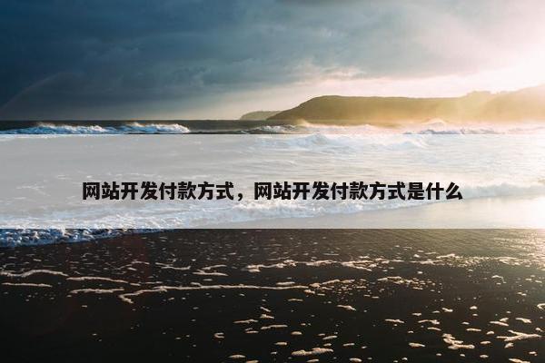 网站开发付款方式，网站开发付款方式是什么