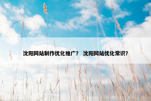 沈阳网站制作优化推广？ 沈阳网站优化常识？