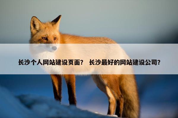 长沙个人网站建设页面？ 长沙最好的网站建设公司？