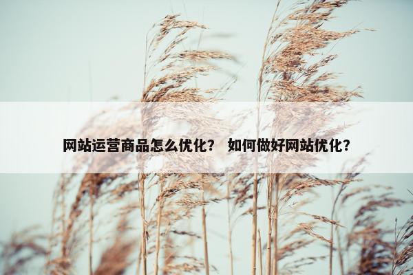 网站运营商品怎么优化？ 如何做好网站优化？