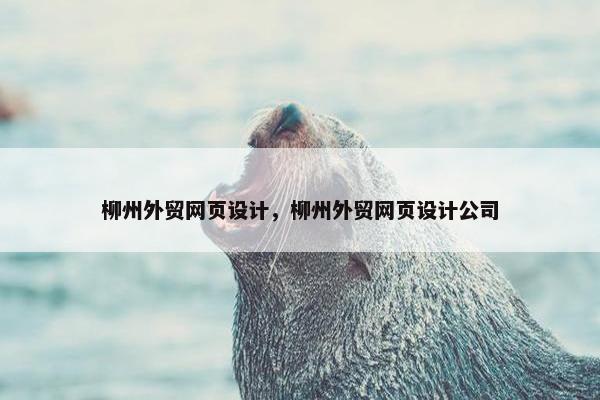 柳州外贸网页设计，柳州外贸网页设计公司