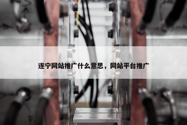 遂宁网站推广什么意思，网站平台推广