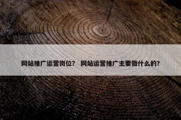 网站推广运营岗位？ 网站运营推广主要做什么的？