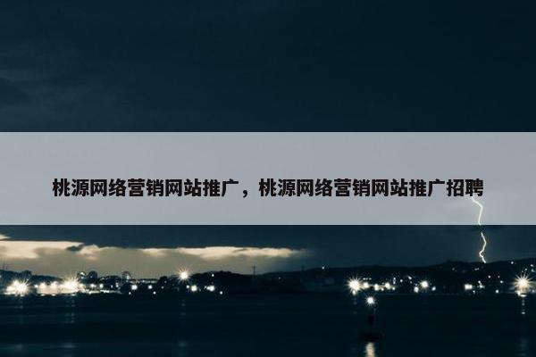 桃源网络营销网站推广，桃源网络营销网站推广招聘