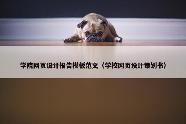 学院网页设计报告模板范文（学校网页设计策划书）