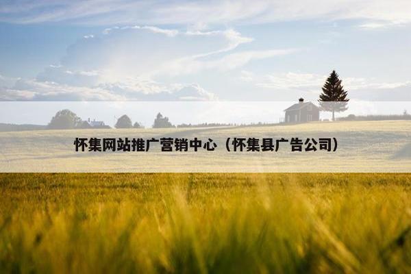 怀集网站推广营销中心（怀集县广告公司）