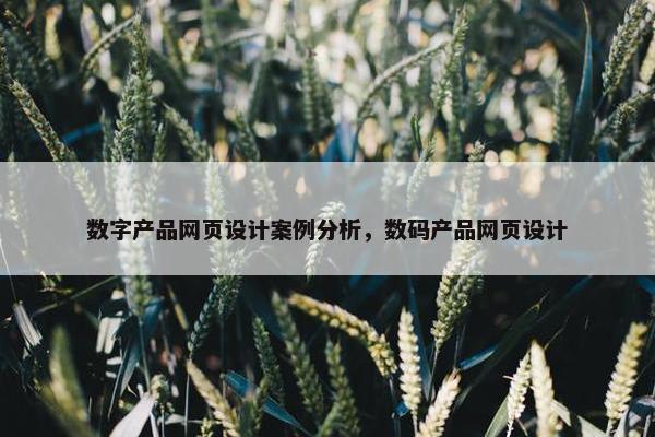 数字产品网页设计案例分析，数码产品网页设计