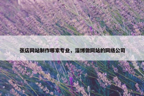 张店网站制作哪家专业，淄博做网站的网络公司
