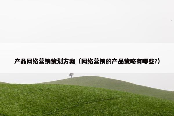 产品网络营销策划方案（网络营销的产品策略有哪些?）