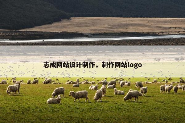 志成网站设计制作，制作网站logo