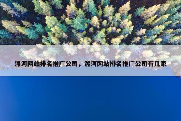 漯河网站排名推广公司，漯河网站排名推广公司有几家
