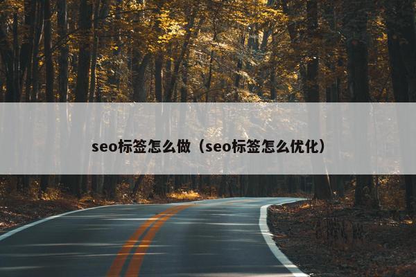 seo标签怎么做（seo标签怎么优化）