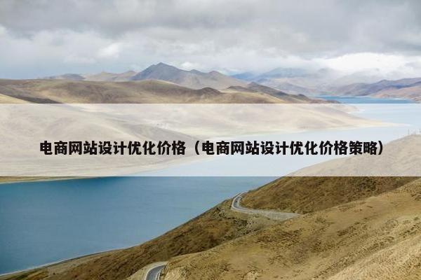 电商网站设计优化价格（电商网站设计优化价格策略）