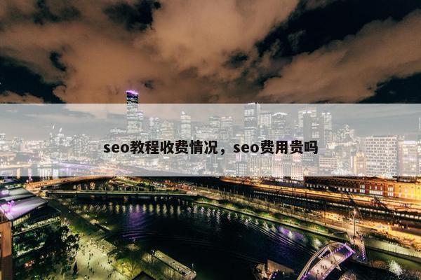 seo教程收费情况，seo费用贵吗
