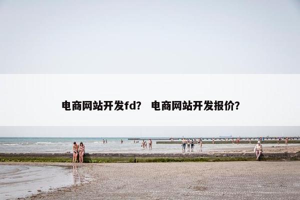 电商网站开发fd？ 电商网站开发报价？