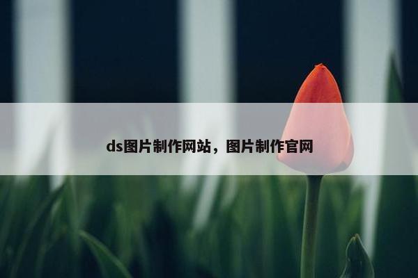 ds图片制作网站，图片制作官网