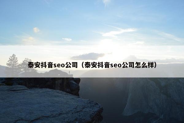 泰安抖音seo公司（泰安抖音seo公司怎么样）