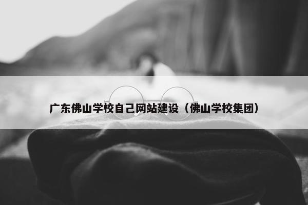 广东佛山学校自己网站建设（佛山学校集团）