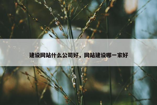 建设网站什么公司好，网站建设哪一家好