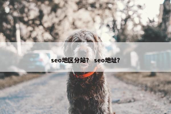 seo地区分站？ seo地址？