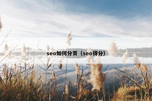 seo如何分页（seo得分）