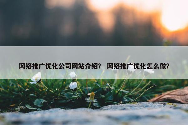 网络推广优化公司网站介绍？ 网络推广优化怎么做？