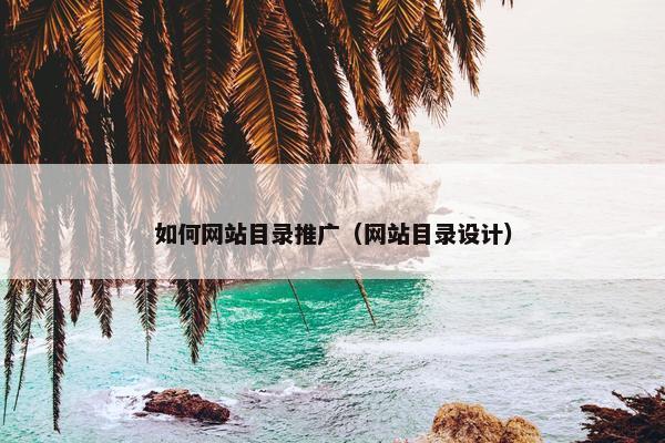 如何网站目录推广（网站目录设计）