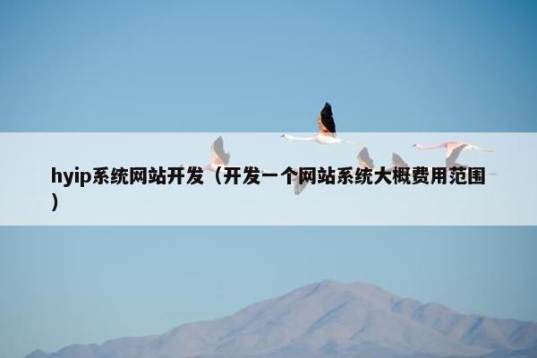 hyip系统网站开发（开发一个网站系统大概费用范围）