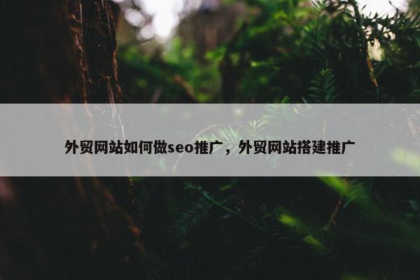 外贸网站如何做seo推广，外贸网站搭建推广