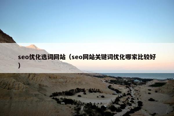 seo优化选词网站（seo网站关键词优化哪家比较好）
